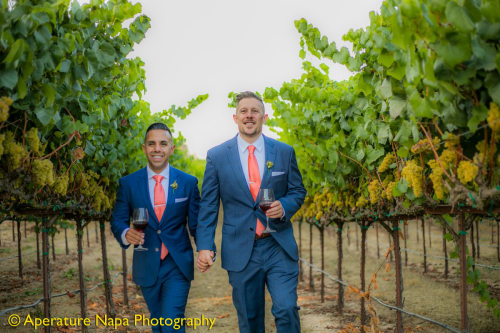 Aperature-Napa_01